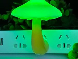 AUSAYE Led Nigh Light ، قم بتوصيل ضوء الليل ، مستشعر من الغسق حتى الفجر ، تشغيل وإيقاف تلقائي للأضواء الليلية باللون الأخضر