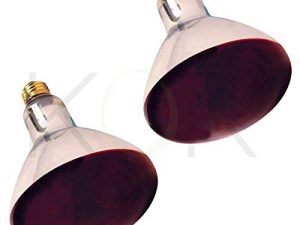 250R40 / 1250-Watt ، عاكس R40 المتوهج ، المصباح الأمامي ، المصباح الكهربائي للفيضان الحراري ، E26 قاعدة لولبية متوسطة قياسية ، 120 فولت ، 6000 ساعة مقدر (أحمر)